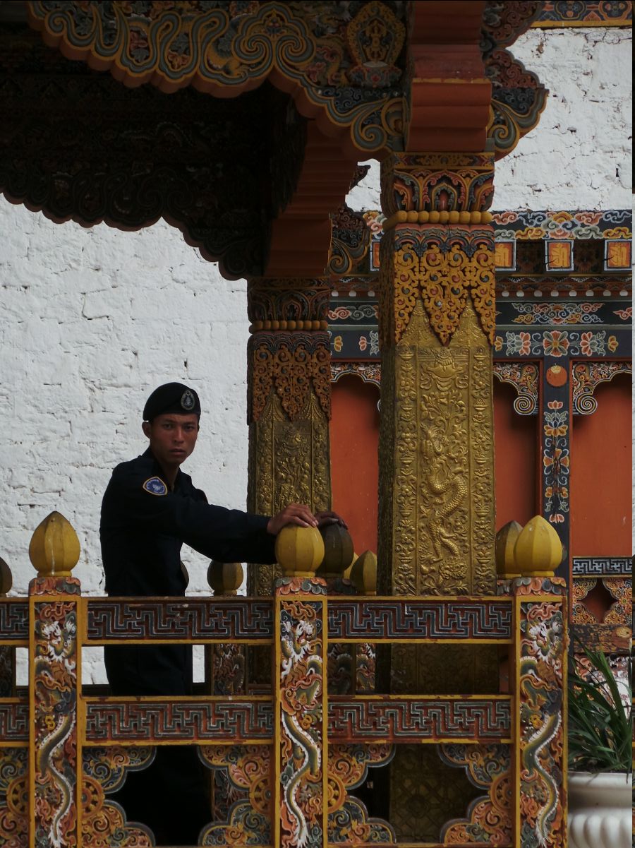 Punakha Dzong101